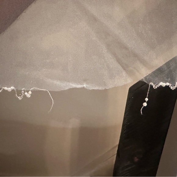 Fully Beaded Cathedral Veil - Picture 3 of 4